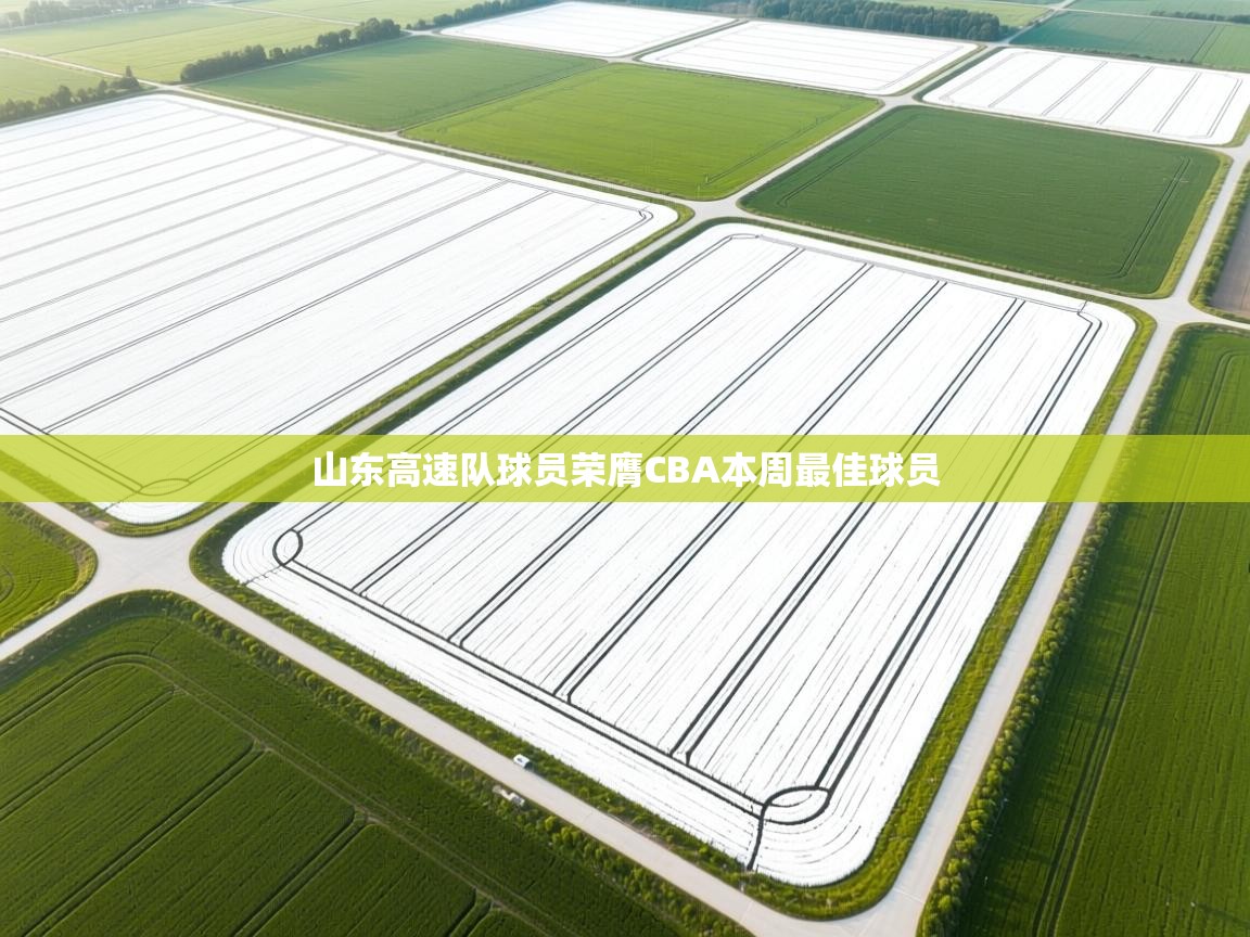 鲸蓝体育app下载-山东高速队球员荣膺CBA本周最佳球员  第1张