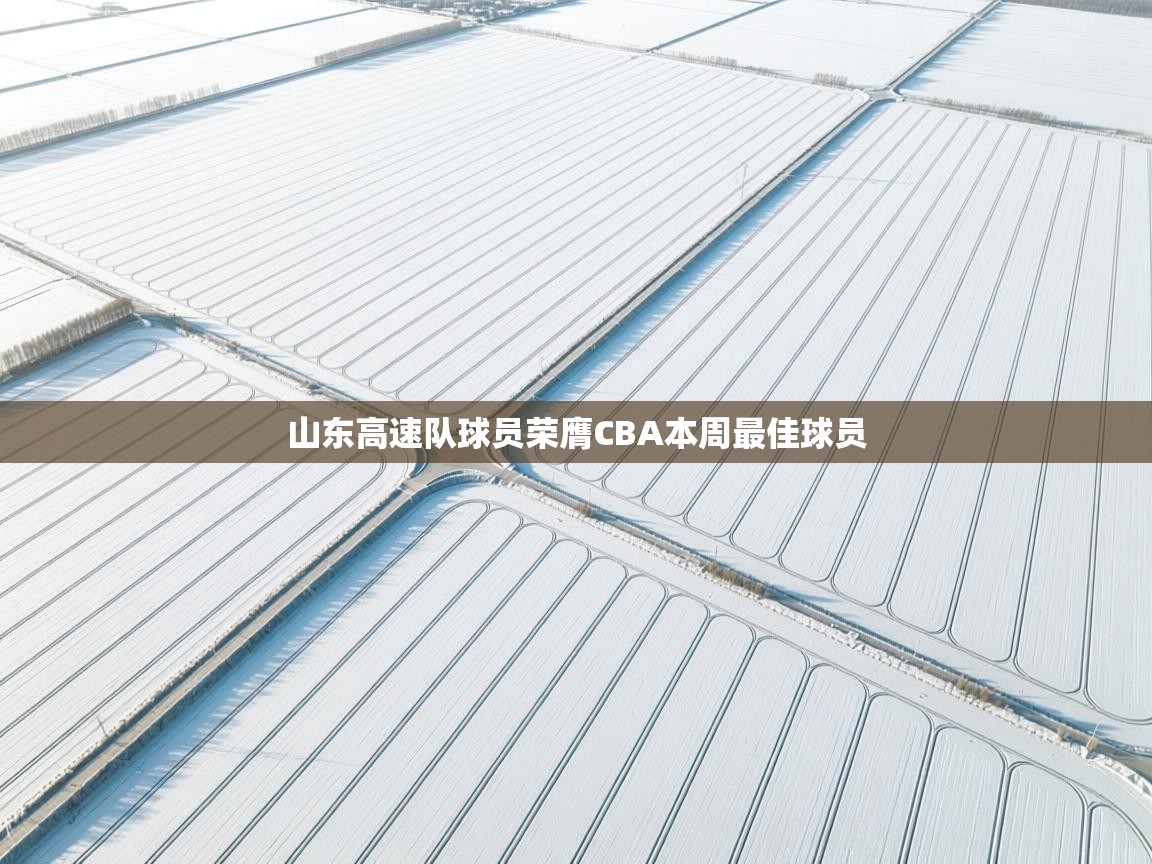 鲸蓝体育app下载-山东高速队球员荣膺CBA本周最佳球员  第3张