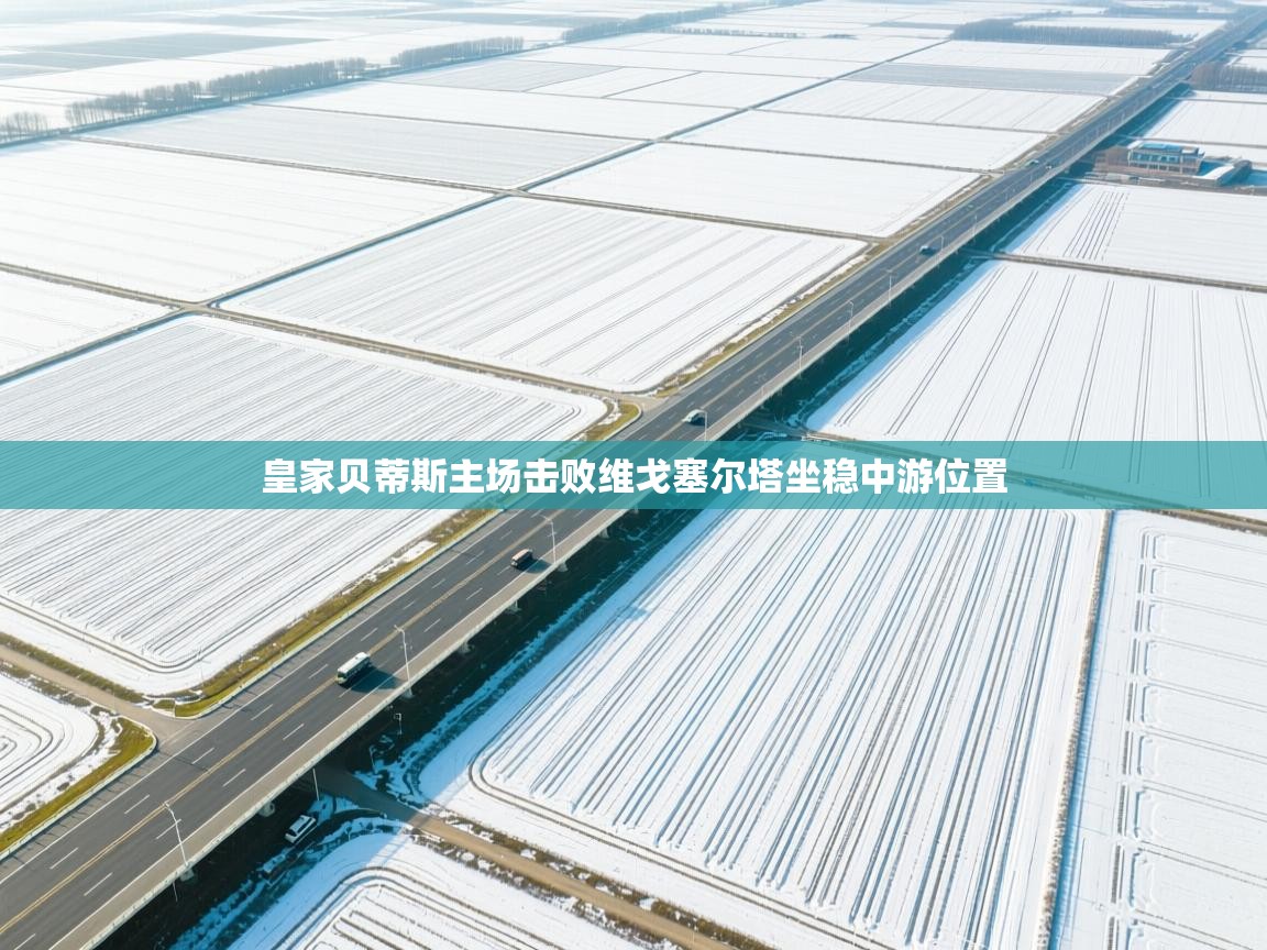 蓝鲸体育app-皇家贝蒂斯主场击败维戈塞尔塔坐稳中游位置  第4张