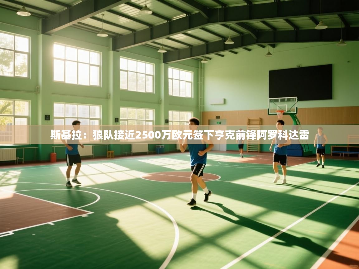 蓝鲸体育在线直播-斯基拉：狼队接近2500万欧元签下亨克前锋阿罗科达雷