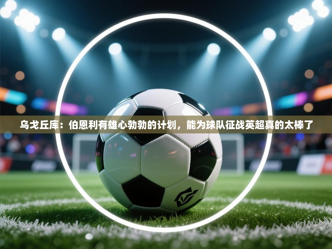 蓝鲸体育官网-乌戈丘库：伯恩利有雄心勃勃的计划，能为球队征战英超真的太棒了  第3张