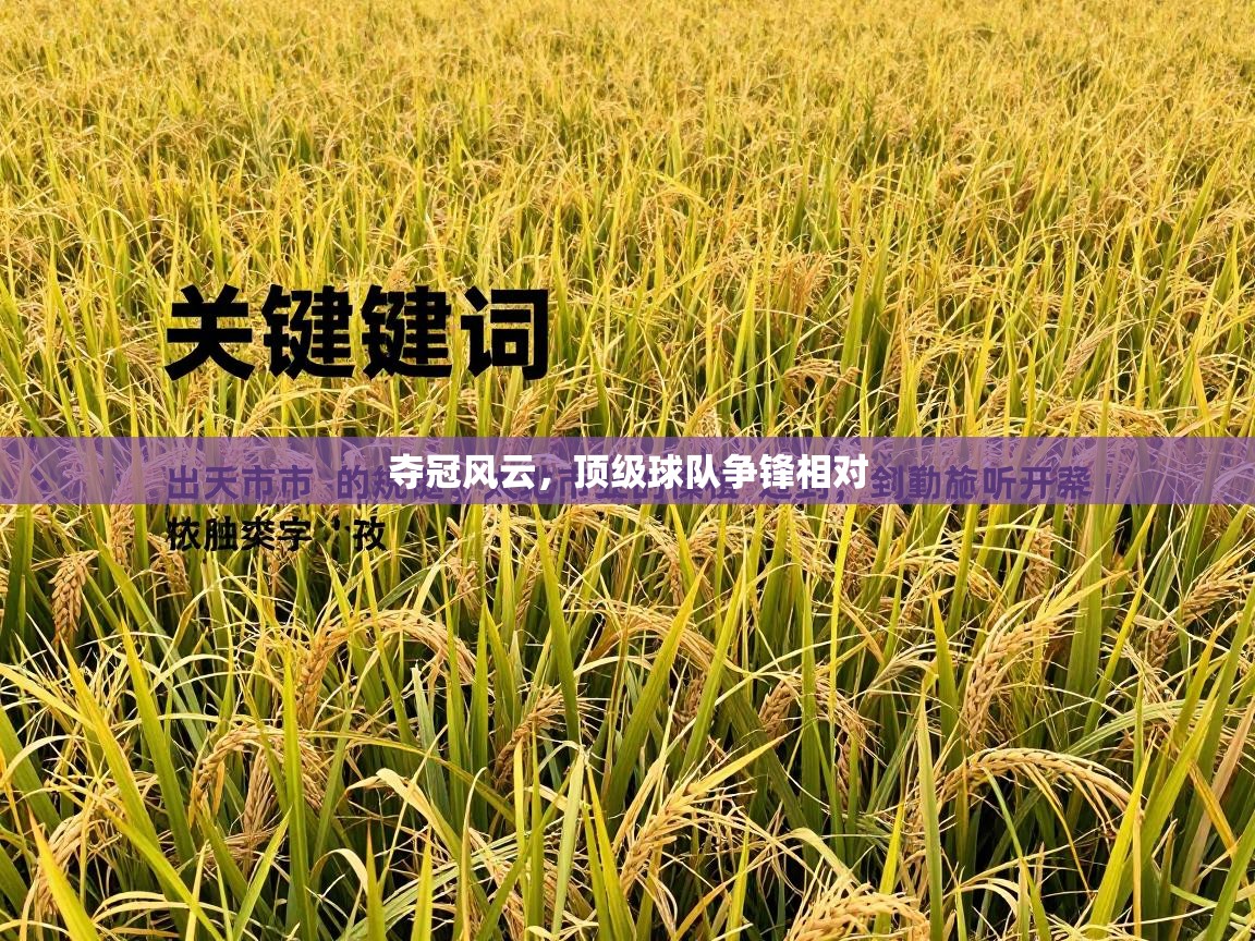 蓝鲸体育直播tv版-夺冠风云,顶级球队争锋相对 第4张