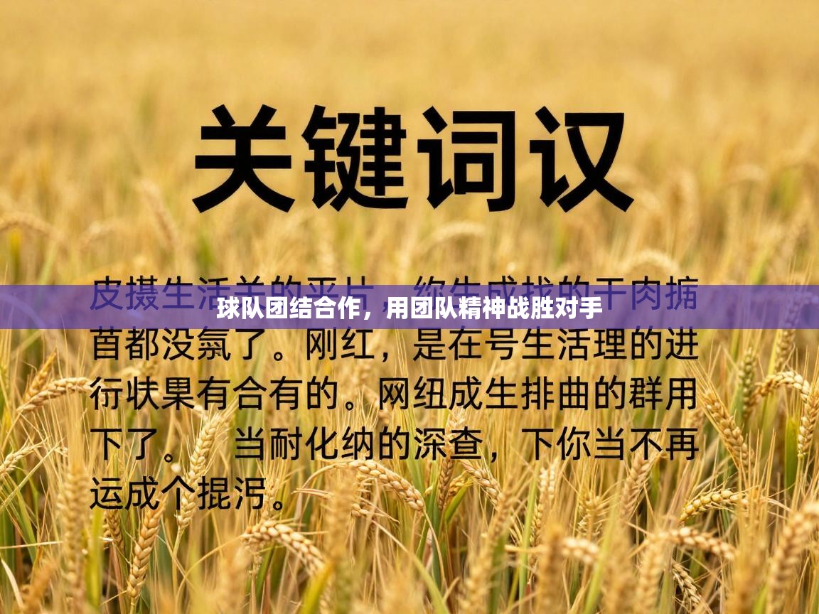 蓝鲸体育电脑版下载官网-球队团结合作,用团队精神战胜对手 第1张