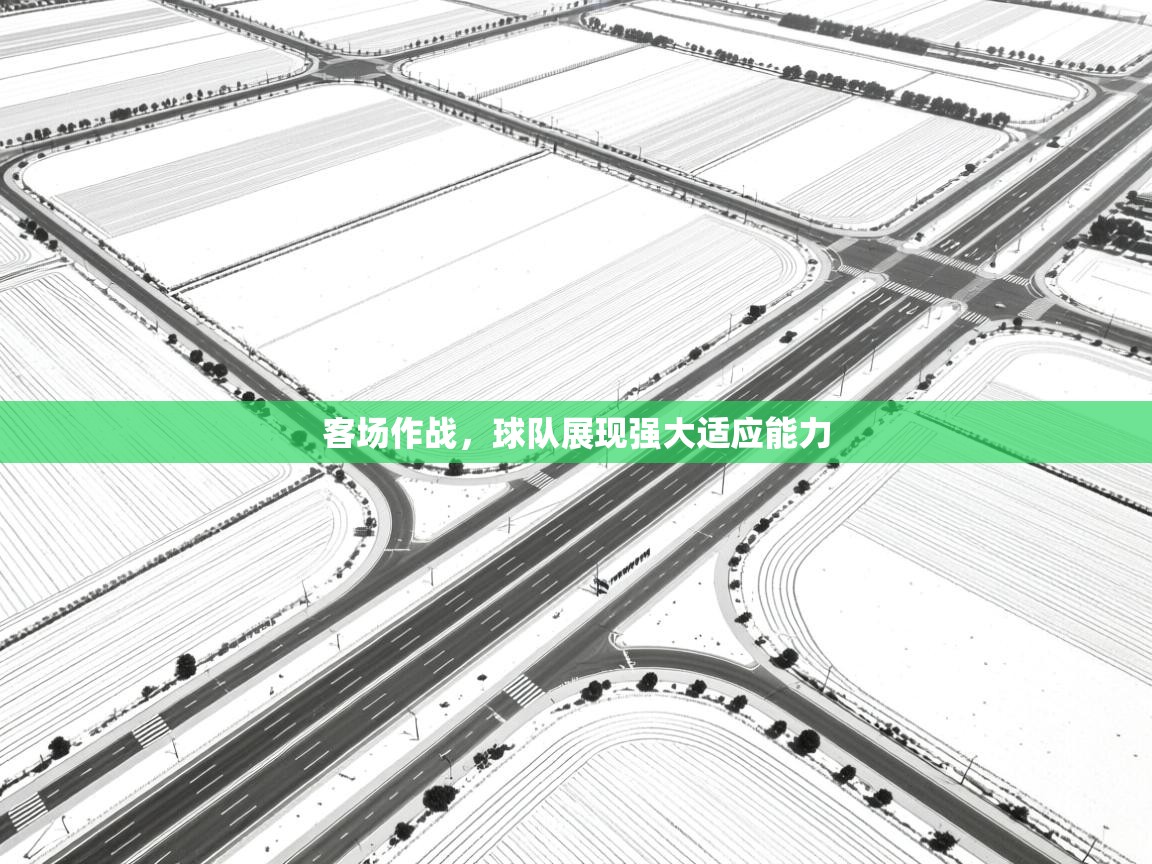 蓝鲸体育电脑版下载官网-客场作战，球队展现强大适应能力