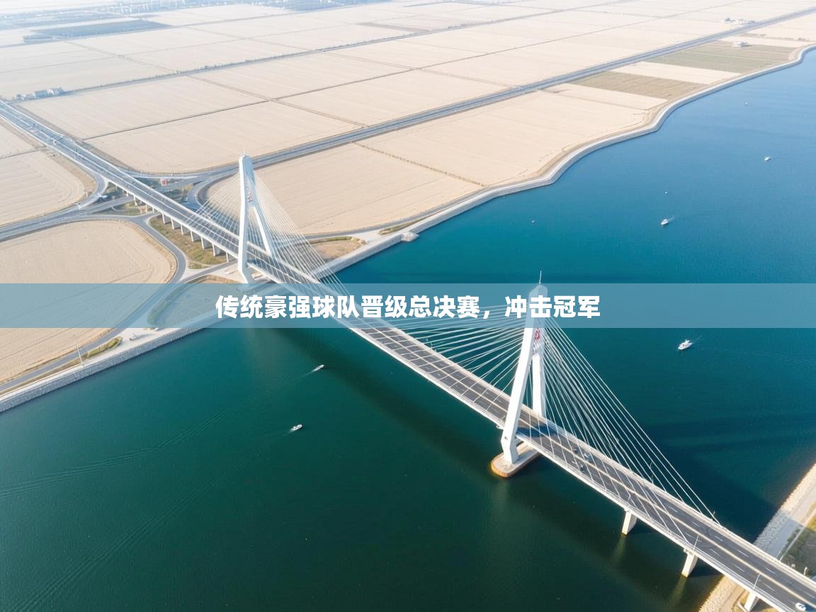 蓝鲸体育app官方下载-传统豪强球队晋级总决赛，冲击冠军  第2张