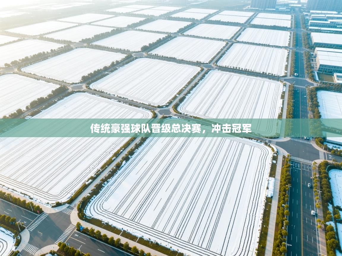 蓝鲸体育app官方下载-传统豪强球队晋级总决赛，冲击冠军  第4张