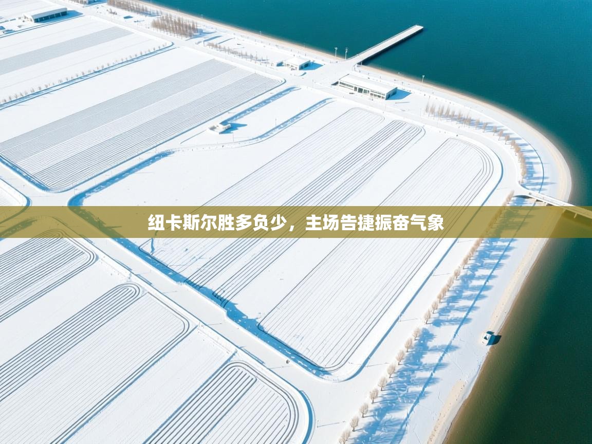 蓝鲸体育足球直播-纽卡斯尔胜多负少，主场告捷振奋气象  第1张