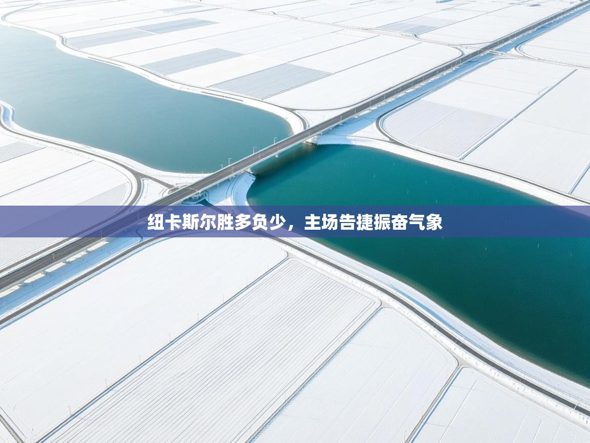 蓝鲸体育足球直播-纽卡斯尔胜多负少，主场告捷振奋气象  第2张