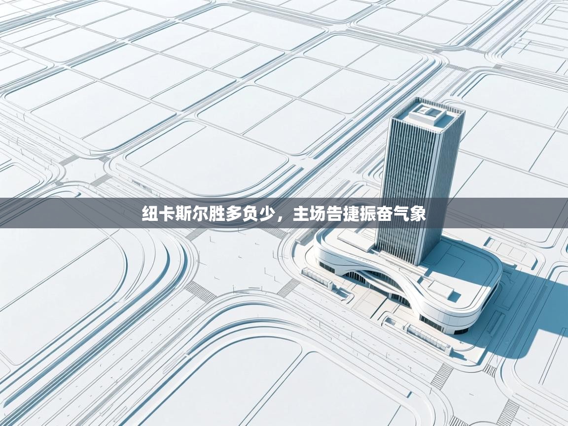 蓝鲸体育足球直播-纽卡斯尔胜多负少，主场告捷振奋气象  第3张