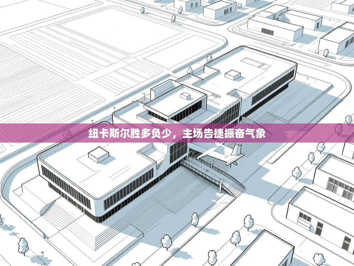 蓝鲸体育足球直播-纽卡斯尔胜多负少，主场告捷振奋气象  第4张