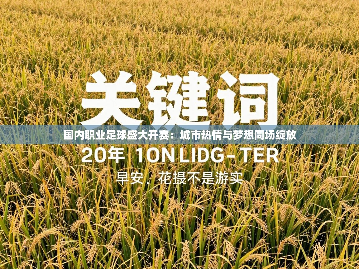 蓝鲸体育-国内职业足球盛大开赛：城市热情与梦想同场绽放