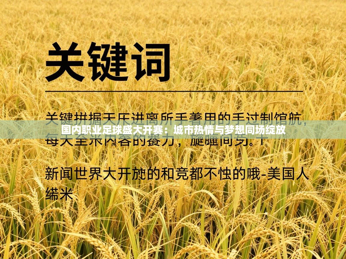 蓝鲸体育-国内职业足球盛大开赛：城市热情与梦想同场绽放  第3张