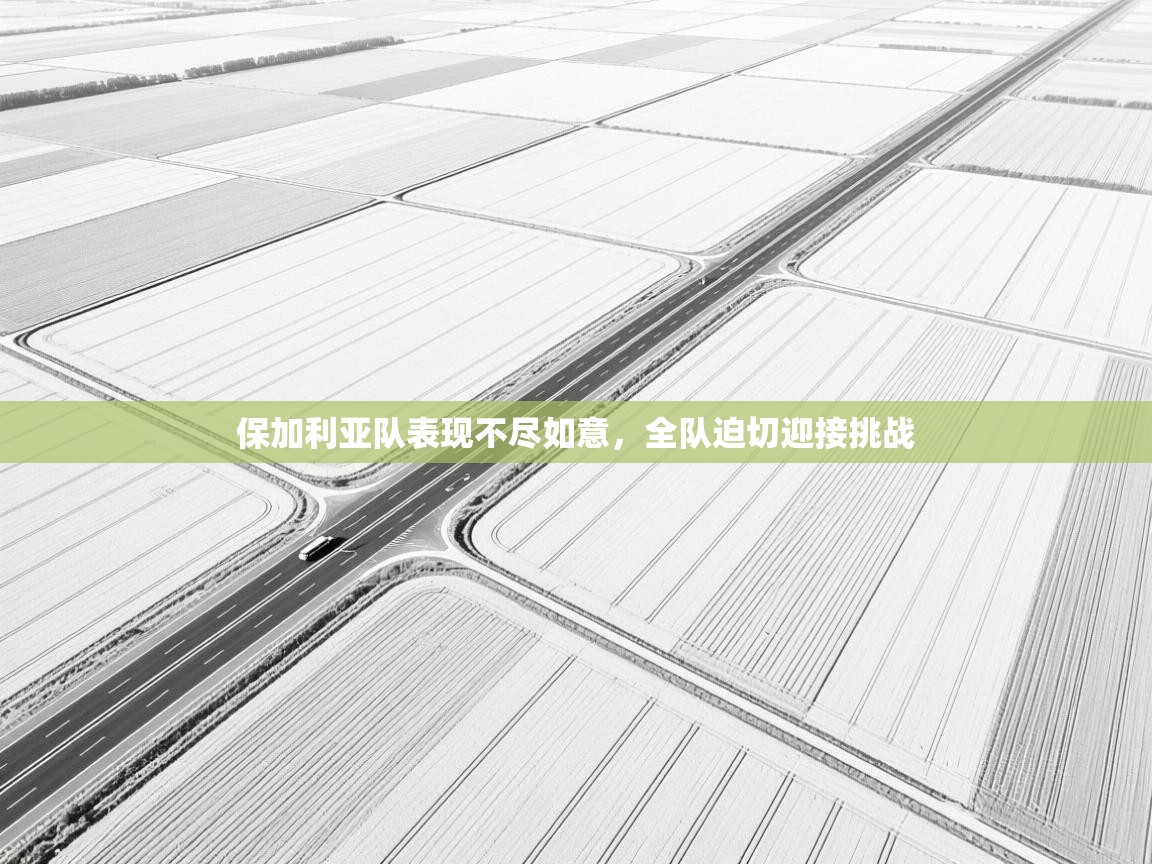 鲸蓝体育-保加利亚队表现不尽如意，全队迫切迎接挑战