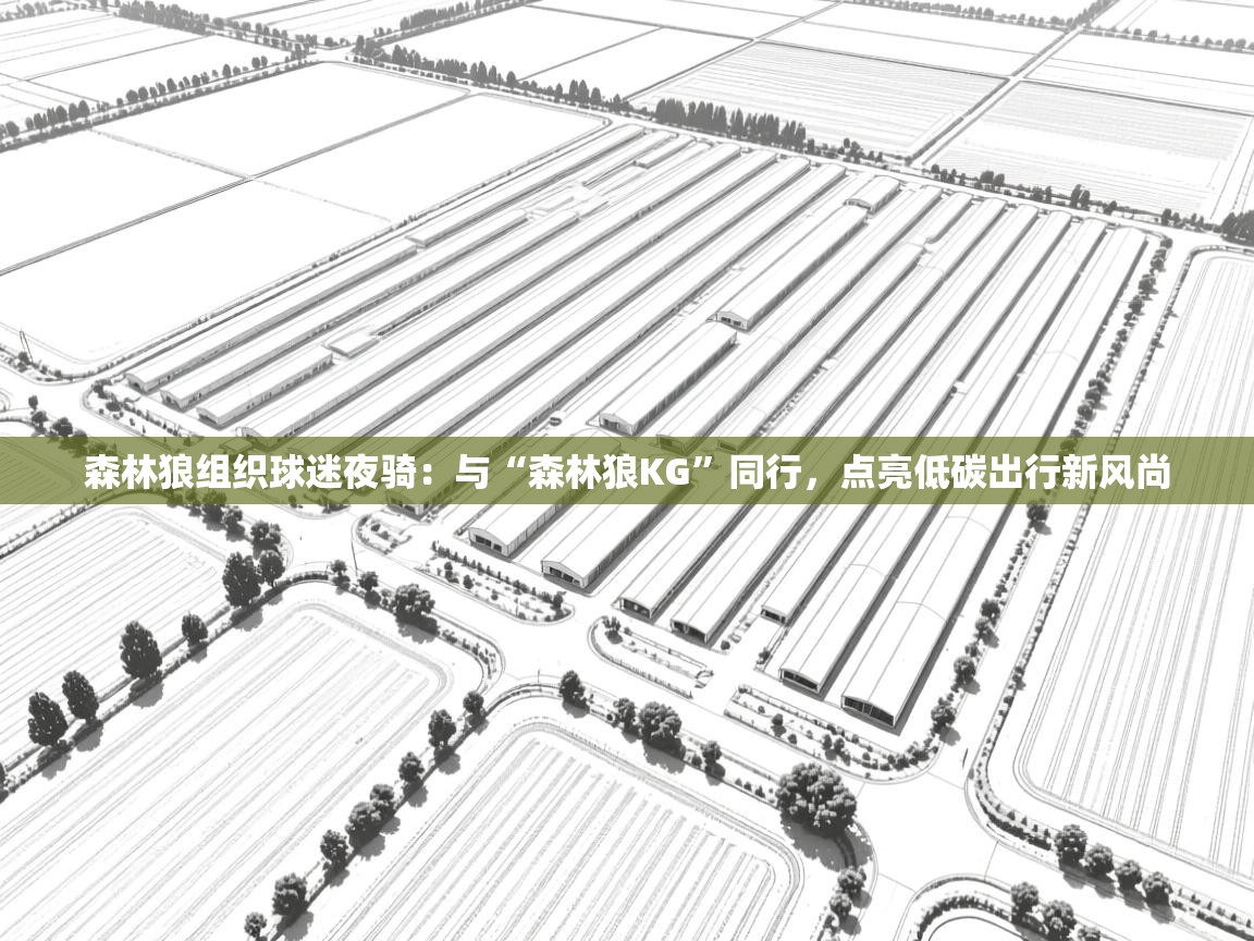 蓝鲸体育足球直播-森林狼组织球迷夜骑：与“森林狼KG”同行，点亮低碳出行新风尚  第1张