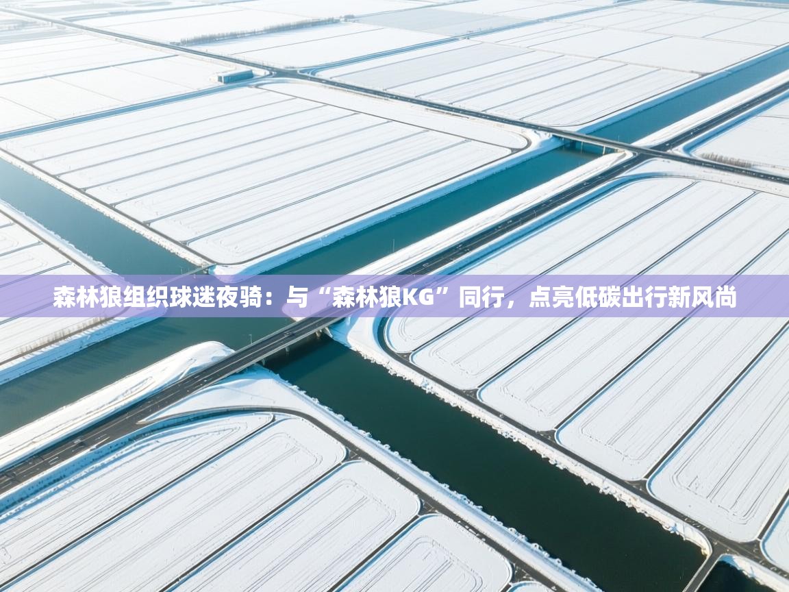 蓝鲸体育足球直播-森林狼组织球迷夜骑：与“森林狼KG”同行，点亮低碳出行新风尚  第3张